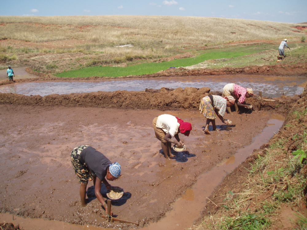 Missioni in Madagascar